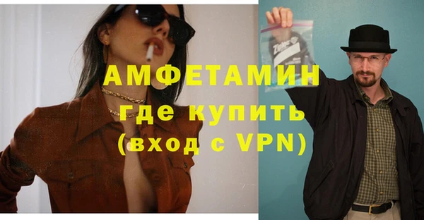 прущие грибы Богданович