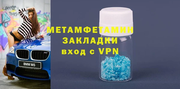 прущие грибы Богданович