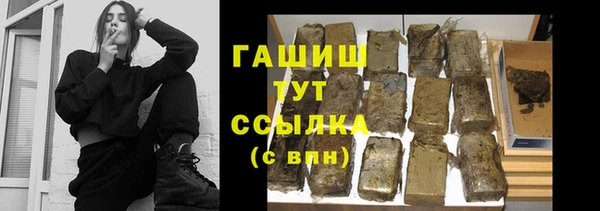 прущие грибы Богданович