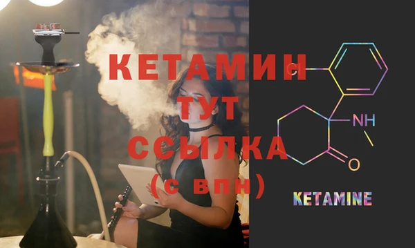 прущие грибы Богданович