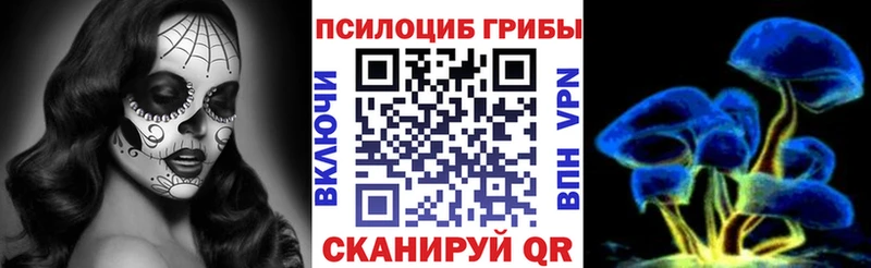 мега как войти  Тотьма  Псилоцибиновые грибы Magic Shrooms 